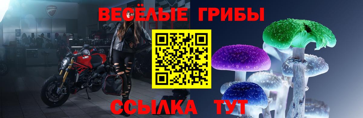 Галлюциногенные грибы GOLDEN TEACHER  Вход с VPN  сколько стоит  Аксай 